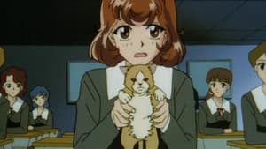 Episodio 12