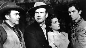 The Outlaw — foto 1