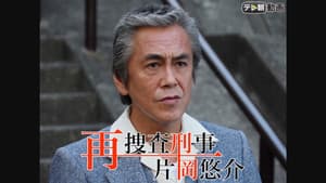 再捜査刑事・片岡悠介 — foto 1