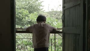 ပြာပြာညိုရောင် မှိုင်းတလဲ့လဲ့ — foto 1