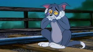 Blue Cat Blues — foto 4