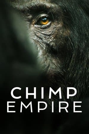 Miniserie