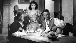 Il lupo della Sila — foto 1