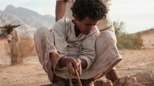 ذيب — foto 1