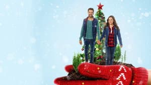 Tú yo y los árboles de Navidad — foto 3