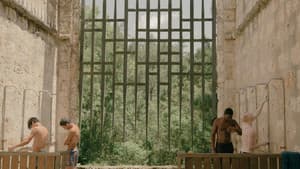 Tiguere — foto 1