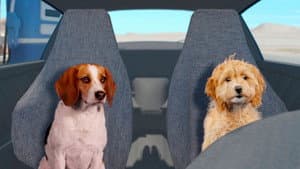 Fast and Furriest — foto 1