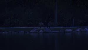 Blue in Green — foto 2