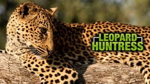 Leopard Huntress — foto 1