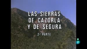 Episodio 80