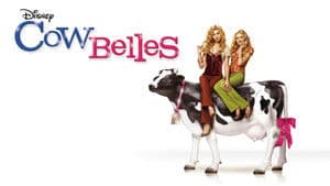 Bellas y Mimadas — foto 5