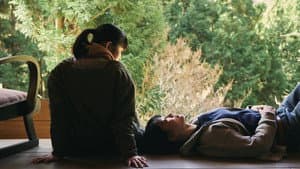 霧の淵 — foto 2