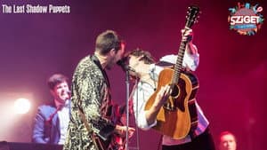 The Last Shadow Puppets at Sziget Festival — foto 1