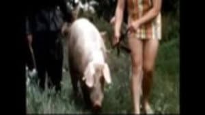 The Dark Side of Porn: The Real Animal Farm — foto 1