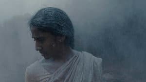 නොමියෙන මතකය — foto 1