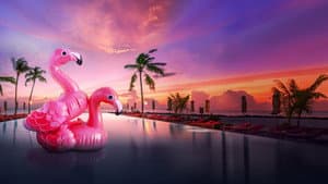 Bachelor in Paradise — foto 11