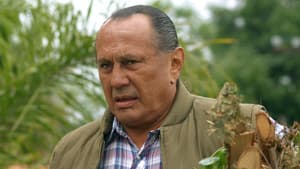 Oso Errante