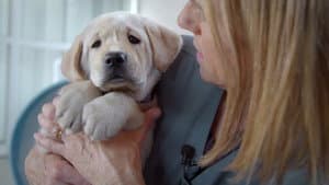 Pick of the Litter — foto 2
