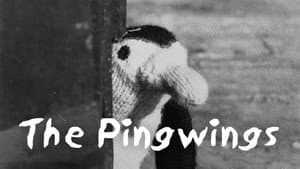 The Pingwings — foto 1