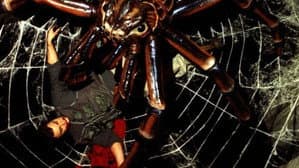 Spiders — foto 6