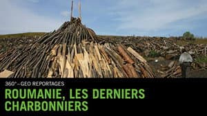 Roumanie, les derniers charbonniers — foto 1