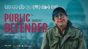 Public Defender — foto 1