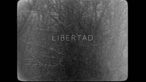 Libertad — foto 10