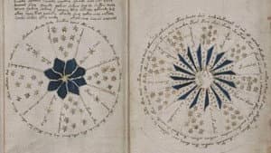 Das Voynich-Rätsel – Die geheimnisvollste Handschrift der Welt — foto 1