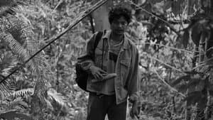 Lahi, Hayop — foto 2