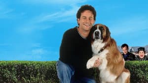 Un perro con suerte — foto 2