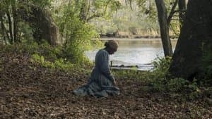 Harriet — foto 3