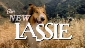 The New Lassie — foto 2