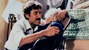 Travolto dagli affetti familiari — foto 1
