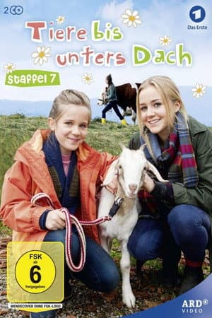 Temporada 7