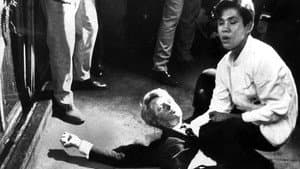 L'altra Dallas - Chi ha ucciso RFK? — foto 1