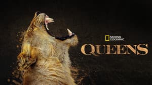 Reinas del mundo animal — foto 11
