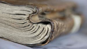 The Beauty of Books — foto 2