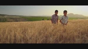 Biz Babasız Büyüdük — foto 1
