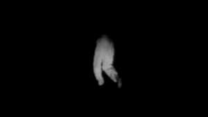 A Agonia — foto 2
