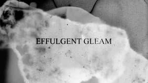Effulgent Gleam — foto 9