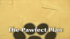The Pawfect Plan — foto 1