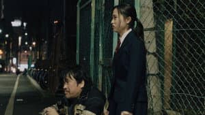 さがす — foto 5