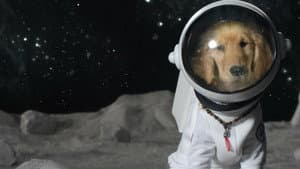 Space Buddies — foto 3