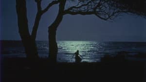 A Far Off World — foto 1