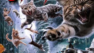 Catnado — foto 3