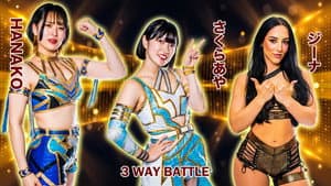 STARDOM GoldenWeek Fight Tour 2023 in FUKUYAMA — foto 7