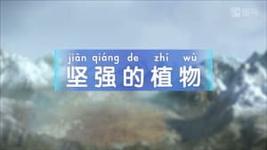 Episodio 10