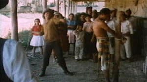 Los hermanos Cartagena — foto 1