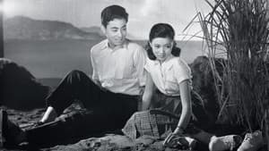 十七才の抵抗 — foto 2