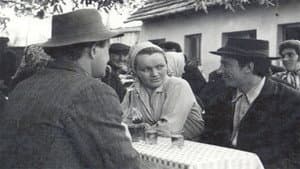 Mejaši — foto 1